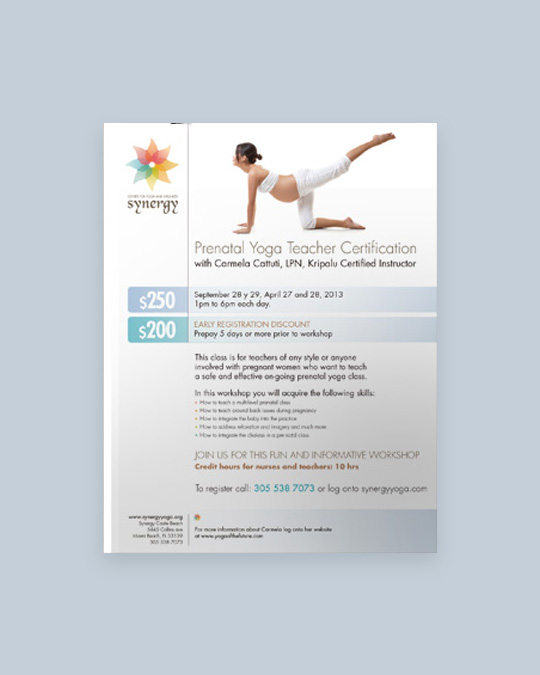 Corporate print design for Sinergy